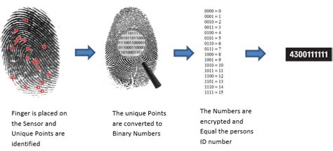 how does fingerprint recognition work